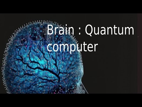 Brain :Quantum computer