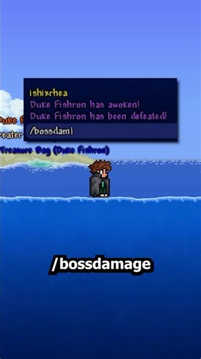 What EVERY Command Does In Terraria!