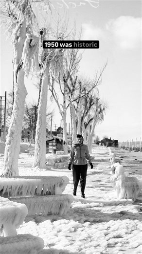 Celebrating Seattle's Snowiest Day: 75 Years Later