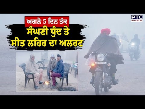 Punjab Weather Update : ਅਗਲੇ 5 ਦਿਨ ਤੱਕ ਸੰਘਣੀ ਧੁੰਦ ਤੇ ਸੀਤ ਲਹਿਰ ਦਾ ਅਲਰਟ | Punjabi News
