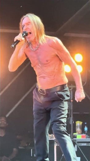 🔥👕 Red Hot Chili Peppers’ Old Friend – Iggy Pop – louder than the algorithm, rawer than any filter