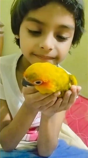 When my bird chooses my sister as its best friend 🐦💖” #birds #parrot #sunconure