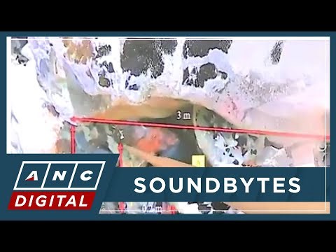 PNP: Cabral likely died between 3-5 p.m. on Dec. 18 based on post-mortem exam | ANC