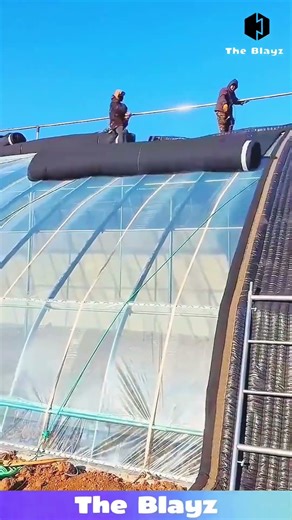 Greenhouse Roof Poly Sheet Installation | Proper Covering for Plant Protection 🌱