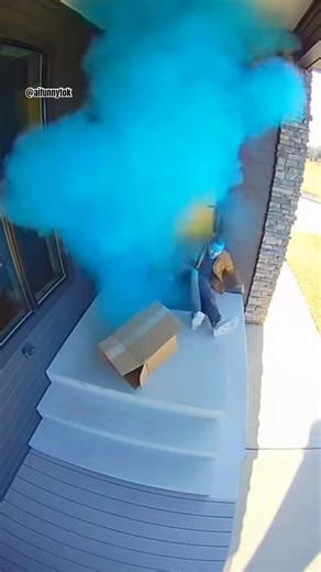 Blue VS Orange Porch Pirate Showdown