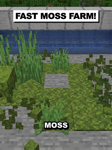 Fast Moss Farm for Donut SMP and Vanilla Minecraft! #minecraft #donutsmp #minecraftfarm