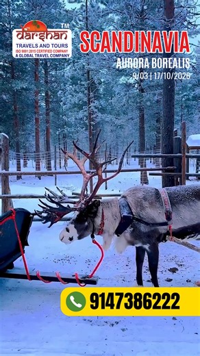 Scandinavia & Northern Lights – A Once-in-a-Lifetime Dream! Chase the dazzling Aurora Borealis as you explore Finland, Norway, Sweden & Iceland! From the magical Santa Claus House in Rovaniemi to crossing the Arctic Circle and gazing over the Baltic Sea — this is the adventure you’ve been waiting for 🛫💙 📌 Special Highlights: Northern Lights | Lake Alta | Tromsø | Saariselkä | Helsinki–Rovaniemi | Kiruna | Vasa Museum ⏳ Limited Seats — Book Your Arctic Experience Now! #ScandinaviaTour #Norther