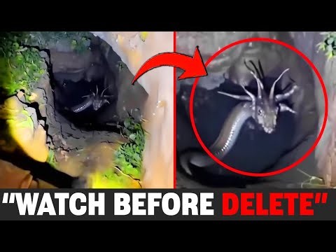 Mythical Forest Creatures Caught On Camera! Scientists Are Shocked!