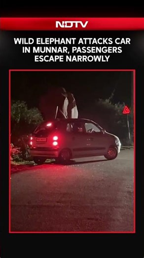 Kerala News | On Camera: Wild Elephant Attacks Car In Munnar, Passengers Escape Narrowly