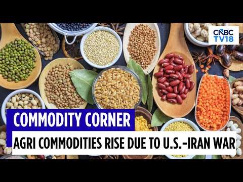 Agri Commodities Surge Amid US-Iran War, Soybean Hits 6-Week High; Wheat At 10-Month High