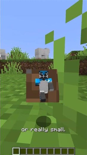 Top 3 Commands EVERY SMP Player Needs