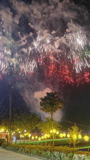 The night sky is instantly illuminated, and golden light fills the park. #Fireworks show | Radiant Fireworks