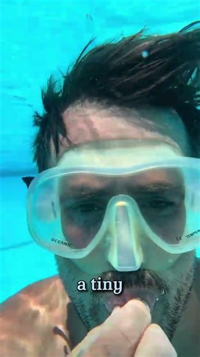 How This Genius Stopped a Pool Leak in Seconds