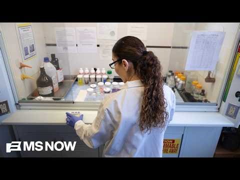 'A massive devaluation of women': NIH funding cuts target women's health research