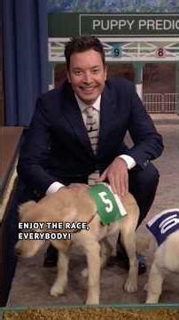 Tonight Show Puppy Predictors: #KentuckyDerby Edition! 🏇 #FallonTonight
