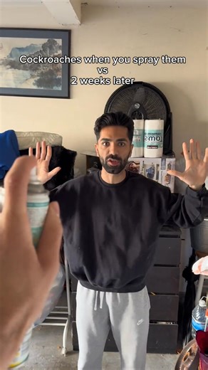 Cockroaches when you spray them vs 2 weeks later. #fyp #humor #joke | Ariaais Deluxx