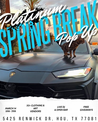 Platinum Lifestyle | ANNOUNCING OUR SPRING BREAK POP UP & CAR MEET! TICKETS IN BIO. Hosting 50+ clothing & art vendors, unseen luxury cars, live dj, open bar,... | Instagram