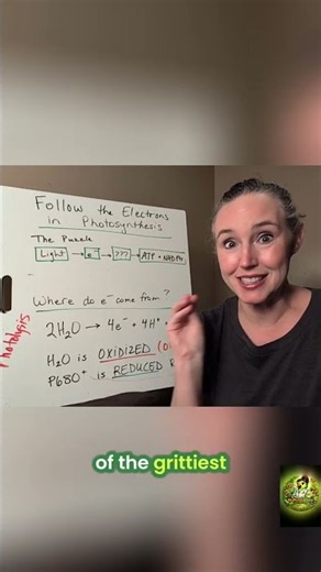 Photosynthesis Deep Dive: AP Biology Exam Secrets! #shorts