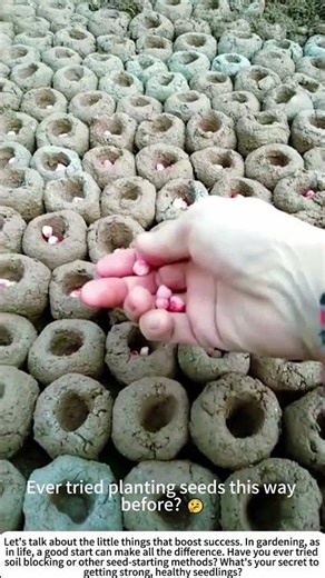 Smart Start: Making Soil Blocks for Corn Seeds 🌽