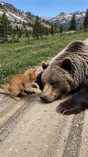 Ember the Cat Piles Pinecones on Sleeping Grizzly & Bolts 😂