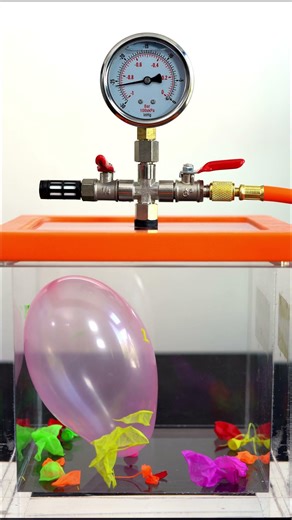 What Happens to Balloons in a Vacuum Chamber?