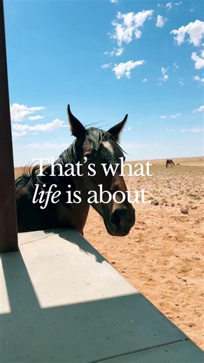 Melbic travel Namibia slow living