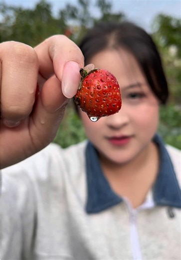 Mukbang Trái Cây: Khám Phá Vườn Quả Ngon