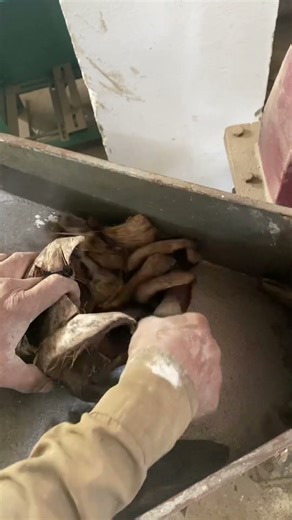 Coconut shell Grinding machine 📞☎️📱+91 89628 26650