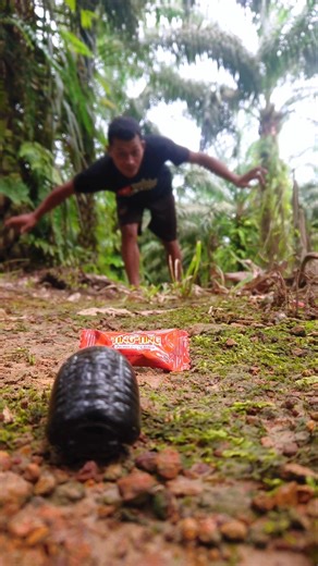 Tiny pill millipede finds something unexpected 🍭🐛 #pillmillipede #shorts