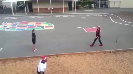 These girls can brag they had a hair pulling fight across several US states!