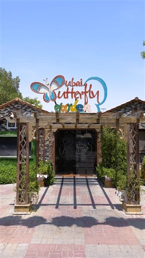 Dubai Butterfly Garden | Clean | Vertical