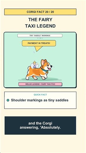 Tiny Corgi. Giant Cows. Who’s the Boss? 🐶🐄