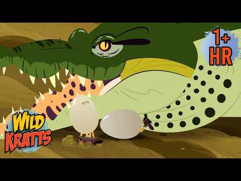 Tales of the Crocodile | Wild Kratts