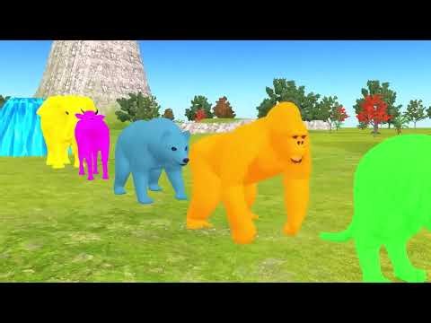 Comedy video catoon