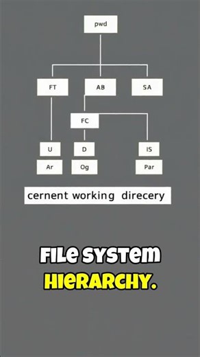 Basic Navigation Commands pwd, ls, cd, mkdir