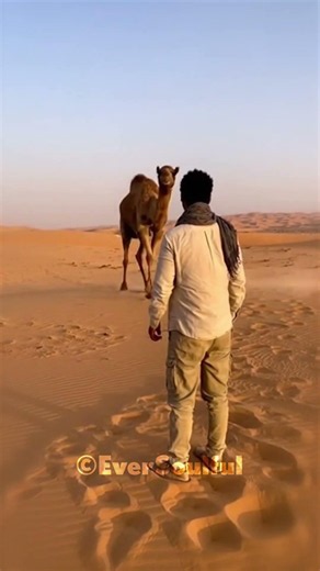 Man’s Bond with the Camel He Nourished as a Baby 💖