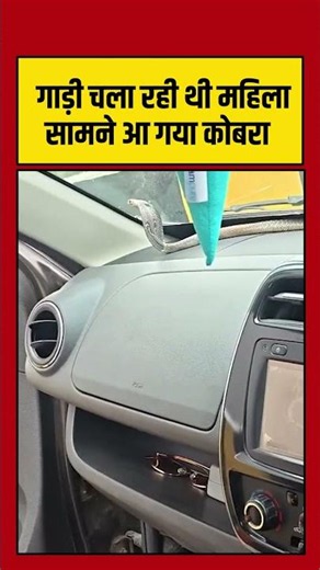 गाड़ी चला रही थी महिला, सामने आ गया कोबरा | #cobra | #viralvideo #Snake #Shorts