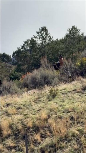 Colorado Horseback Riding with Incredible Mountain Views | Basalt, CO