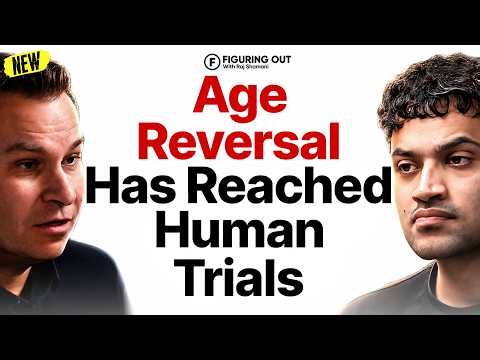 TOP Harvard Scientist: These 5 Habits Are Aging You Faster | David Sinclair | FO562 Raj Shamani