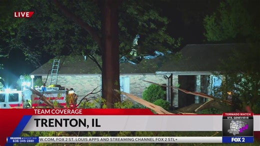 Branches stripped from trees, damage houses in Trenton