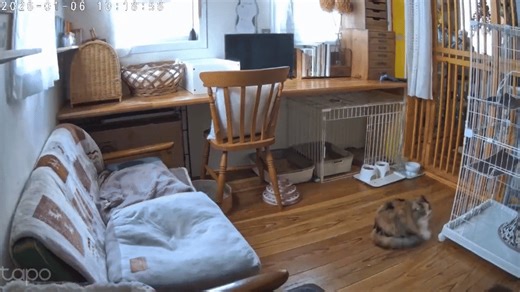 Pictures Topple Off Wall as Magnitude 6.2 Earthquake Rattles Japan