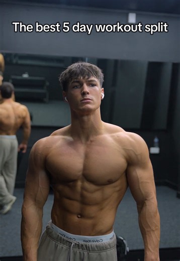 The best 5 day workout split. (Not my current split) @AYBL Code “HARLEY” #gymmotivation #natty #gymsplit