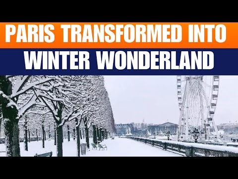 Snow Turns Paris Into a Winter Postcard | Eiffel Tower, Louvre Covered in Snow | News9