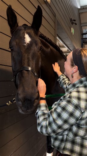 Tri-Circle-D Ranch Hands turn this equestrian tradition into the 🎀 mane 🎀 holiday event 🐴 #DisneyHolidays