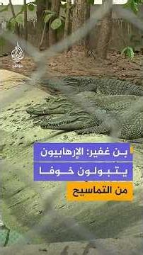 بن غفير:الإرهابيون يتبولون خوفا من التماسيح