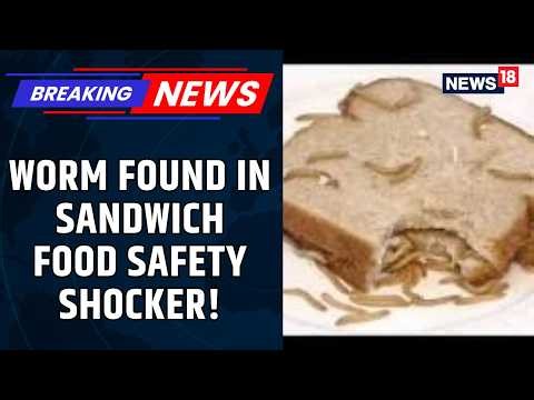 Food Safety | Worm Found in Sandwich Sparks Outrage at Gurugram's Paul Restaurant | News18