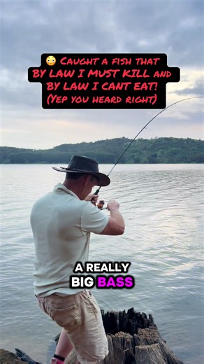 Caught a Fish in Australia I Must Kill & Can't Eat By Law!
