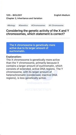 X vs Y Chromosome Genetic Activity Explained