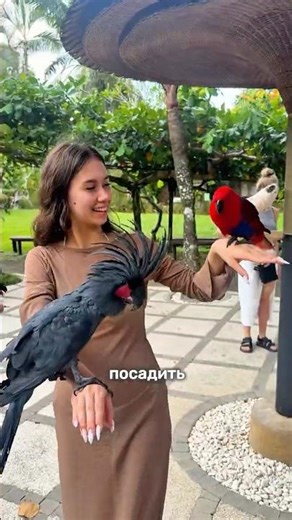 BIRD PARK in Bali 🏝️