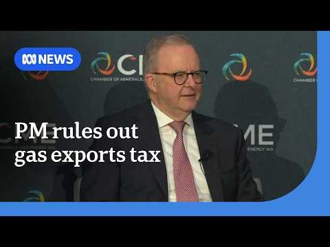 Albanese rules out increasing tax on existing gas contracts | ABC NEWS